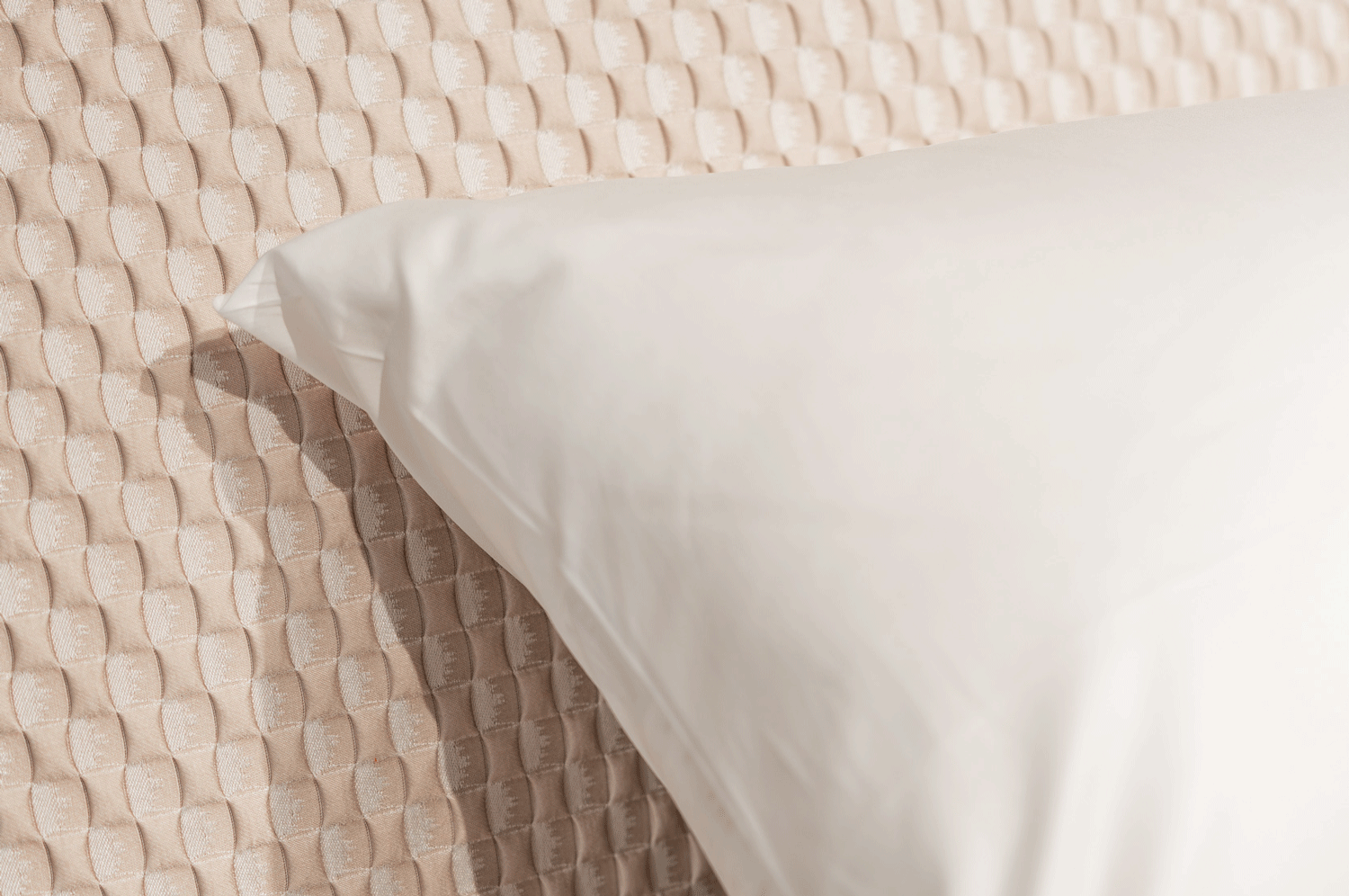 01SCHRAMM_Showroom_ORIGINS_COMPLETE_Elysia_Olivia_3660_cream_007